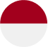 Indonesia Flag
